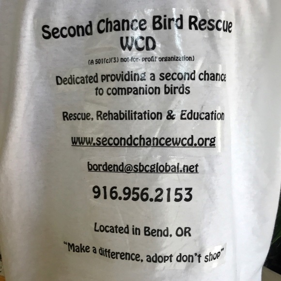 Meet your Posher, Juli - Picture 5 of 8